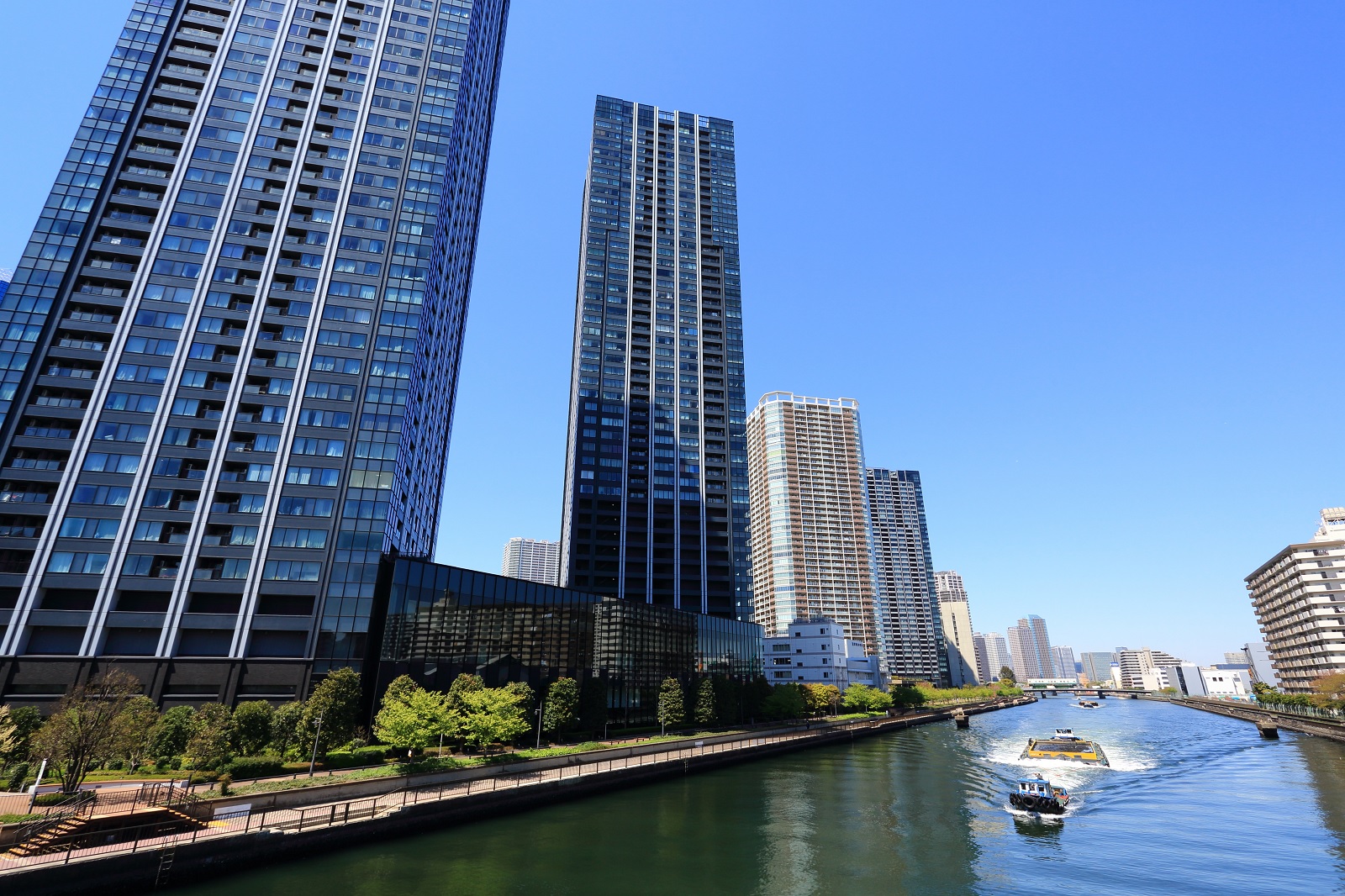 豊洲 シティタワーズ豊洲ザ・ツイン｜住友不動産ステップ